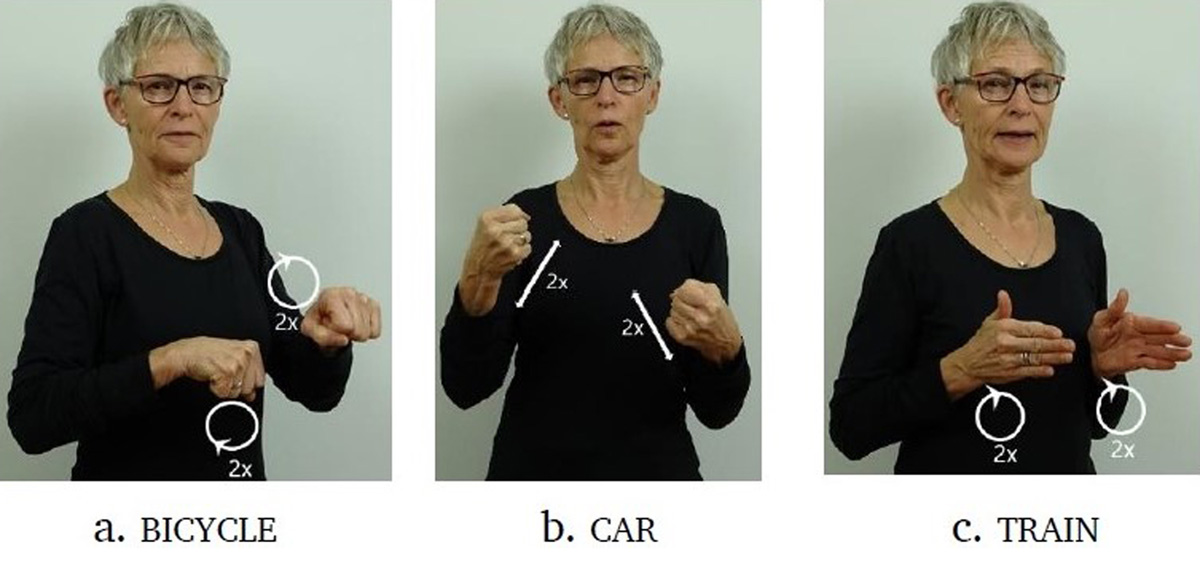 Frontiers  Structure and Grammaticalization of Serial Verb Constructions  in Sign Language of the Netherlands—A Corpus-Based Study