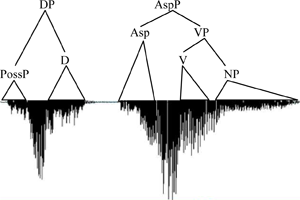 Motivating Form in Morpho-syntax