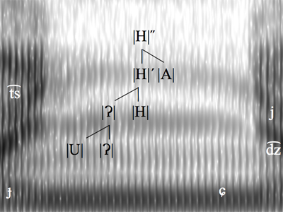 Palatalization